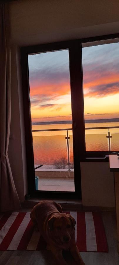 Bella Vista Summerland Apartment *